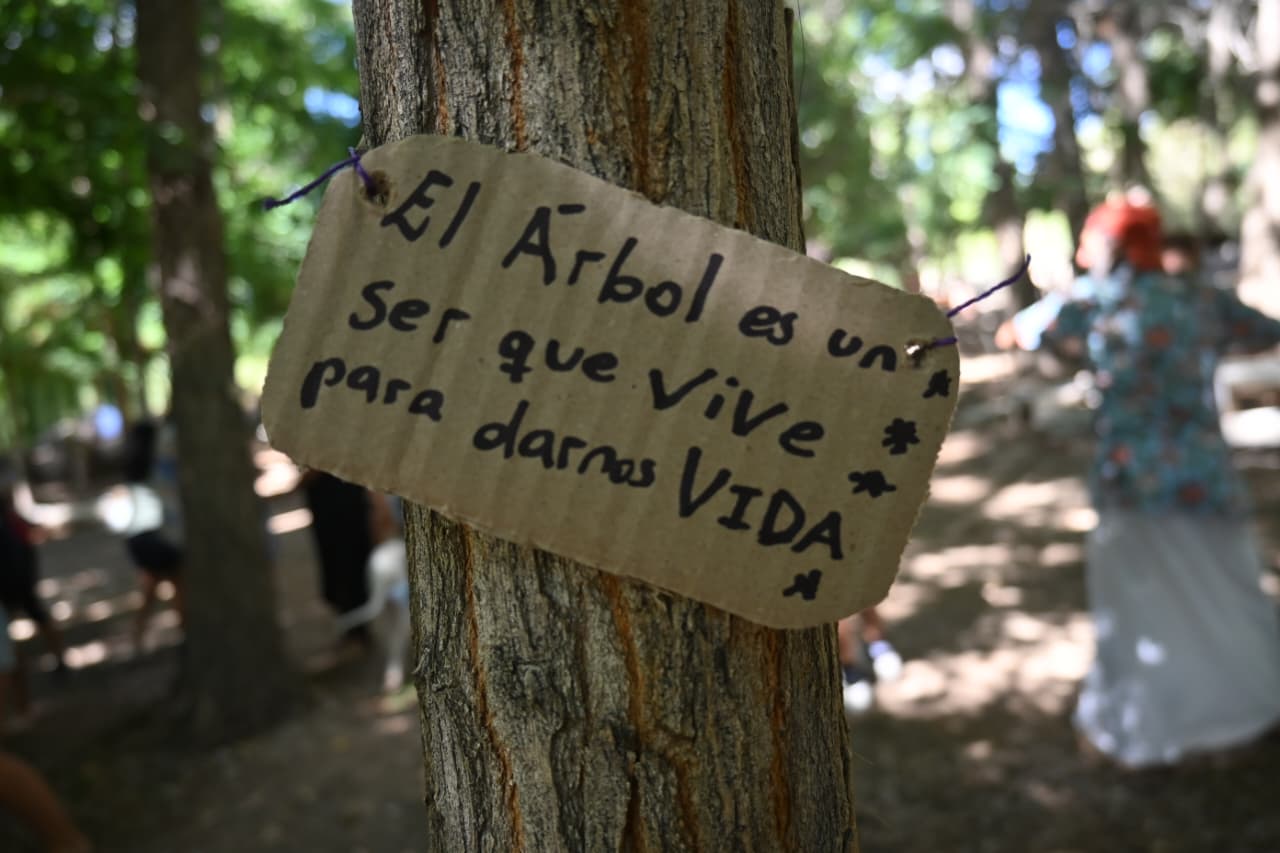El Festival de los Abrazárboles ya se vive en Las Flores 