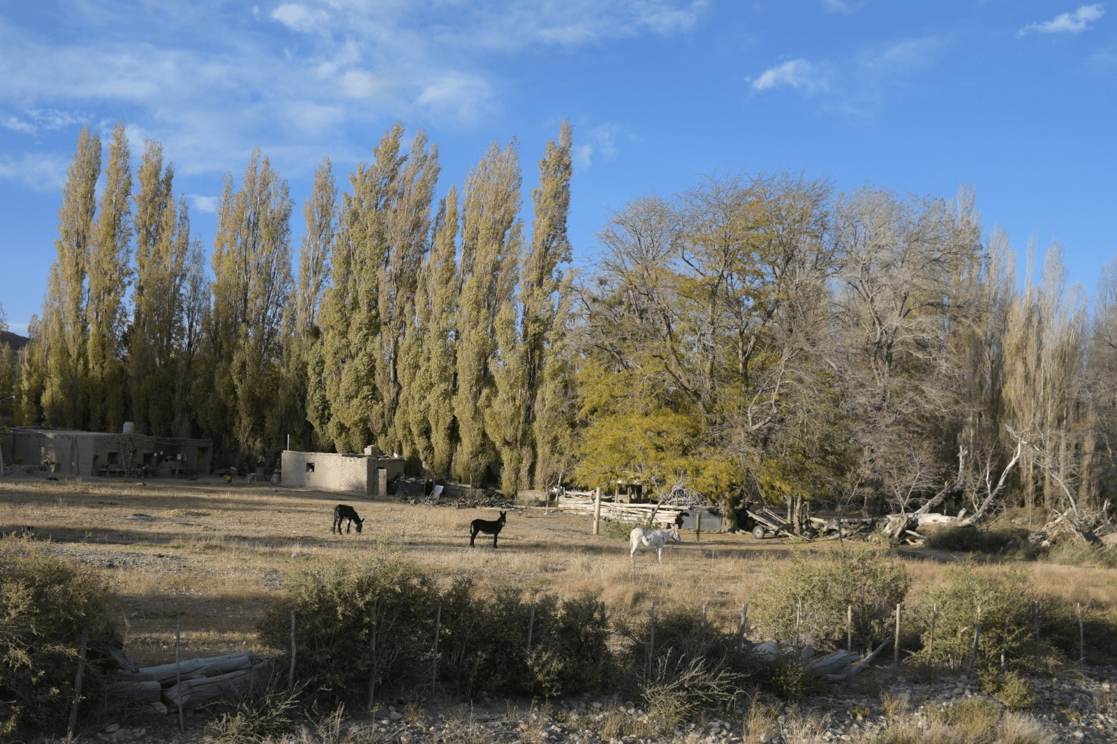 TALLER TURISMO RURAL COMUNITARIO 